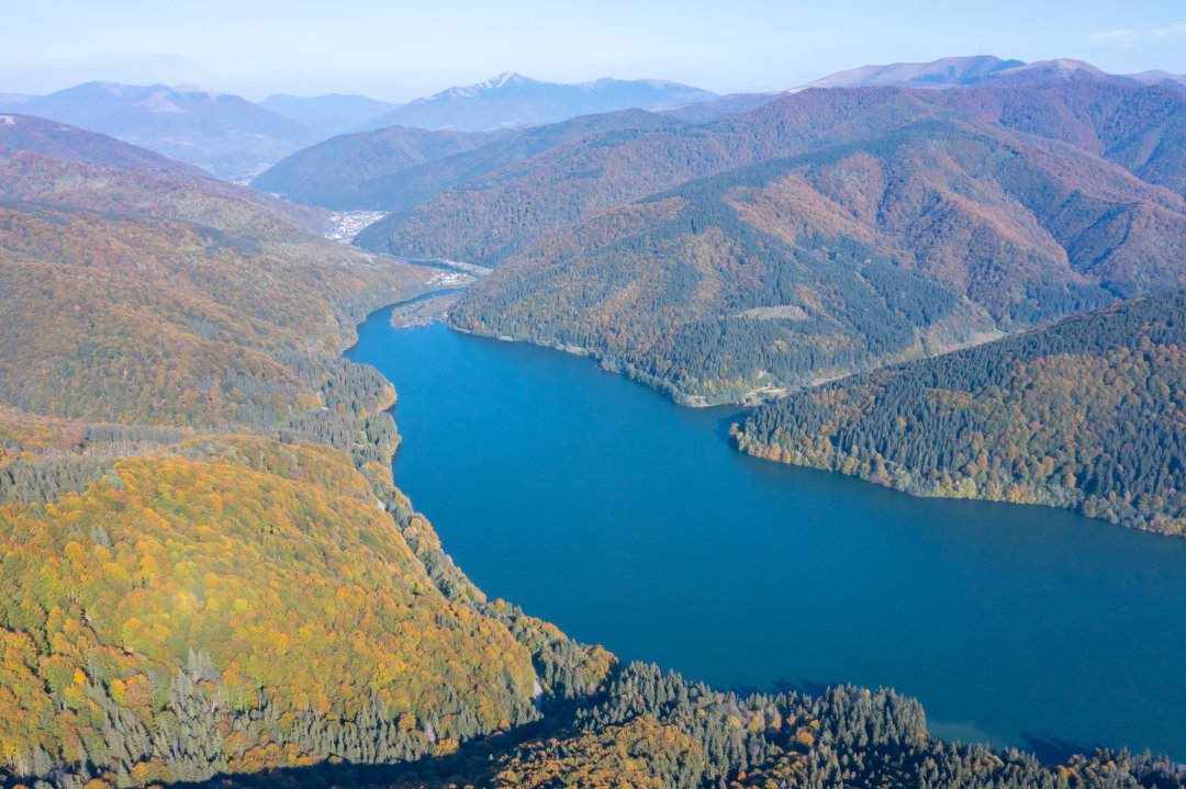 Водно-болотні угіддя