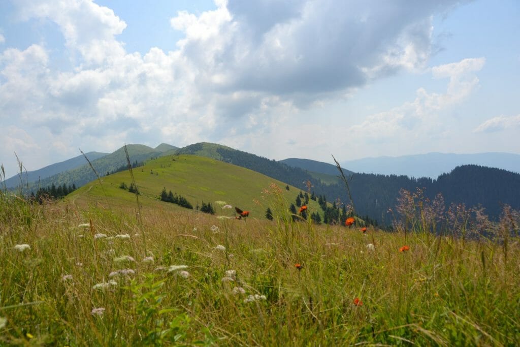 Ostriky – Hrebin Mountain